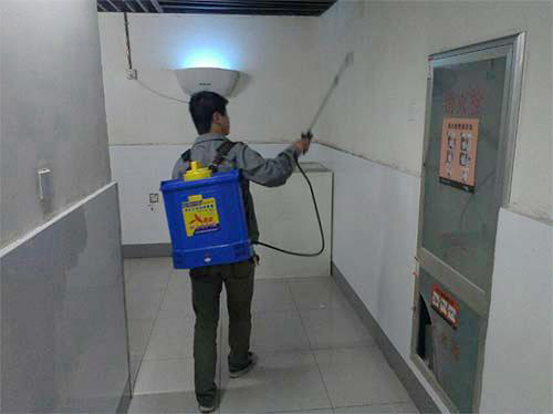 公共區域消殺服務