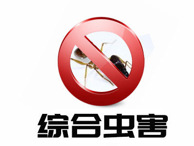 綜合蟲害服務